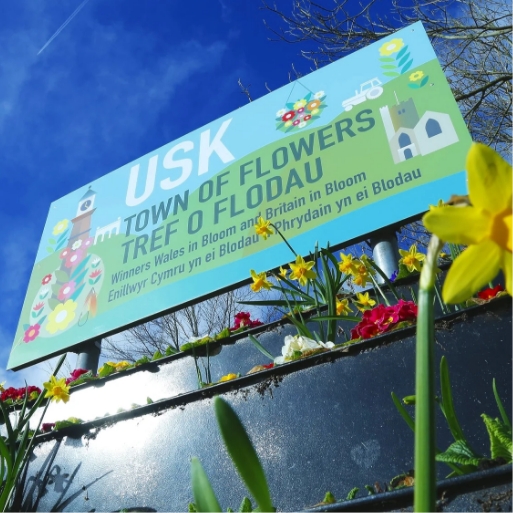 Usk Town of Flowers welcome sign above daffodils